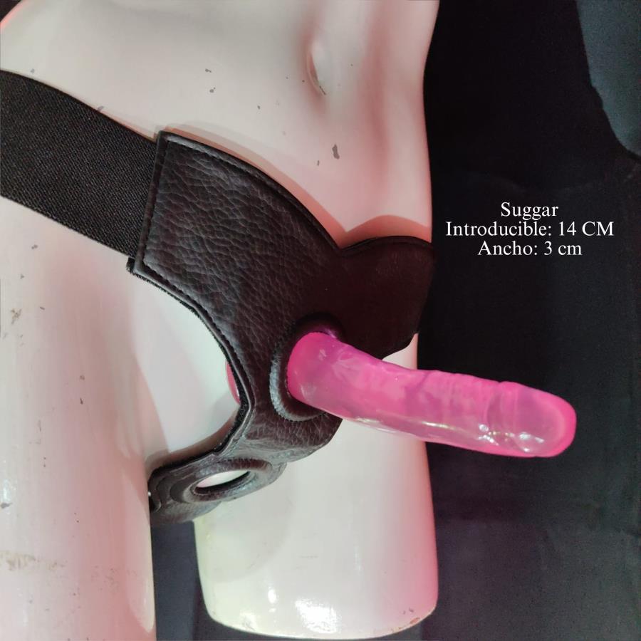 Set Be Pride Pro Arnes y Dildo