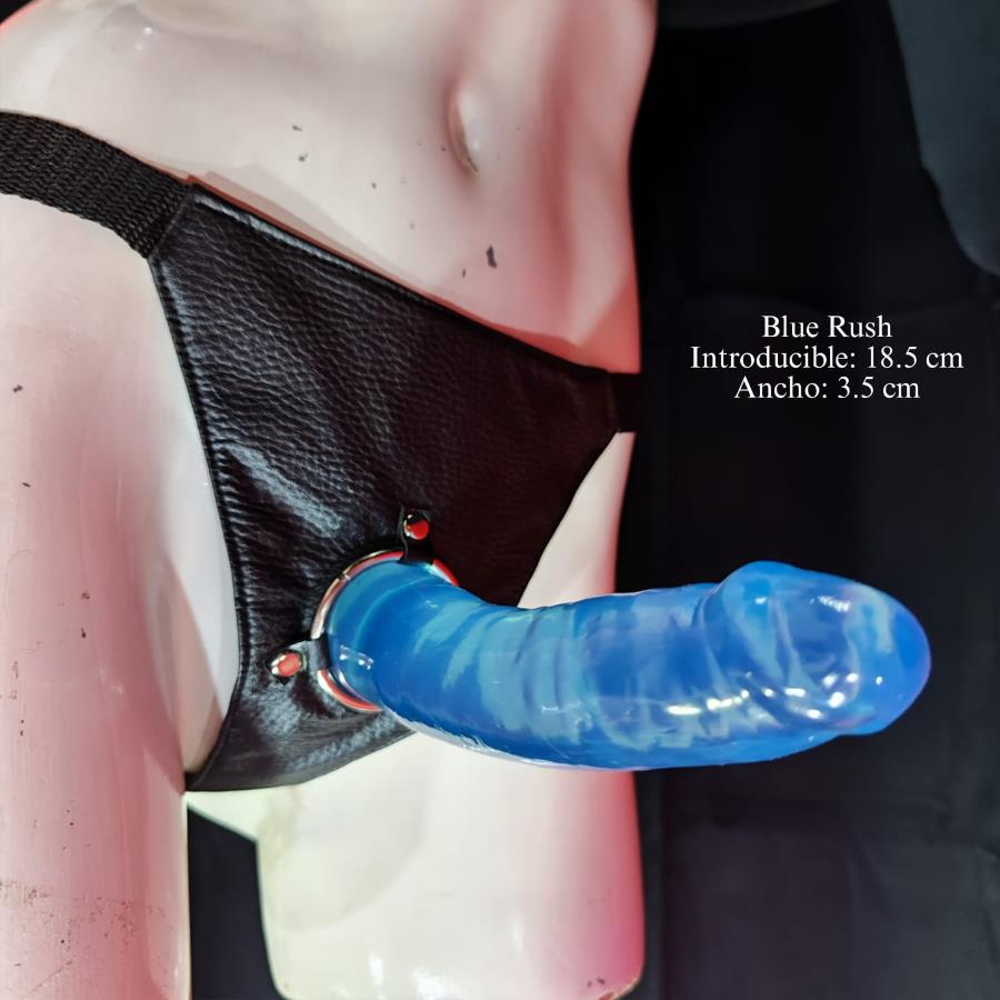 Set Be Pride Pro Arnes y Dildo