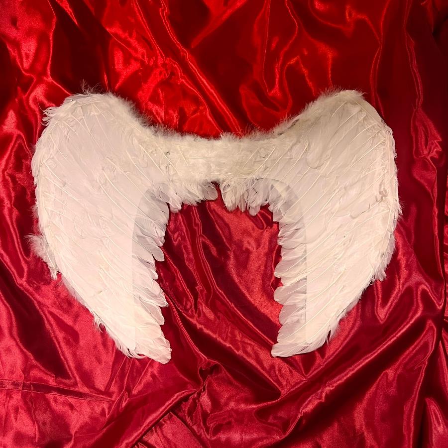 Alas De Angel Blancas